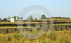 Kentucky Horse Park