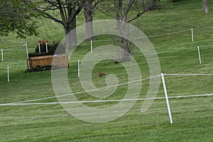 Kentucky Horse Park Three Day Event 2021 A - XXIV