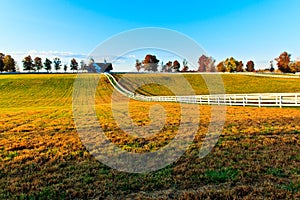 Kentucky Thoroughbred Horse Farm