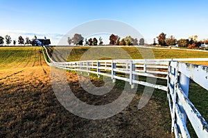 Kentucky Thoroughbred Horse Farm photo