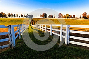 Kentucky Thoroughbred Horse Farm