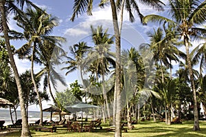 Kenya: Garden Serena Beach Hotel Mombasa