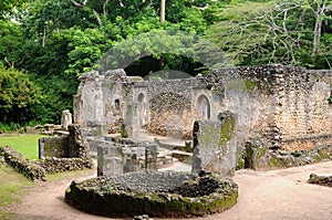 Kenya, Gede ruins laid in the vicinity of the Malindi resort