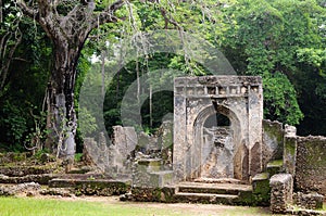 Kenya, Gede ruins laid in the vicinity of the Malindi resort