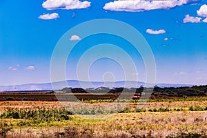 Kenya Landscape Nature Panoramic Scenic Views Fields Meadows Clouds Sky At Nairobi National Park In Kenya East Africa