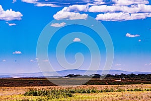 Kenya Landscape Nature Panoramic Scenic Views Fields Meadows Clouds Sky At Nairobi National Park In Kenya East African