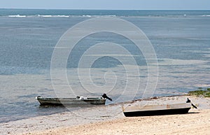 Kenya, Mombasa, 03/25/2018 - boats on ocean