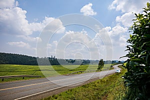 Kenya Roads Highway Morning Fog Mist Tea Leaves plantations Along The Road Farming Field Plants Meadows Foilage In Kiambu