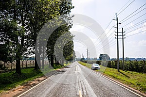 Kenya Roads Highway Morning Fog Mist Tea Leaves plantations Along The Road Farming Field Plants Meadows Foilage In Kiambu