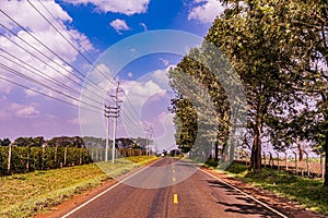 Kenya Roads Highway Morning Fog Mist Tea Leaves plantations Along The Road Farming Field Plants Meadows Foilage In Kiambu