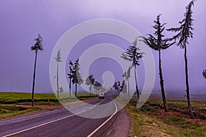 Kenya Roads Highway Morning Fog Mist Tea Leaves plantations Along The Road Farming Field Plants Meadows Foilage In Kiambu