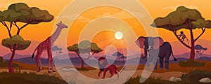 Kenya sunset. Africa plaine landscape, animal silhouettes in meadow, african safari prairie wildlife giraffe savannah