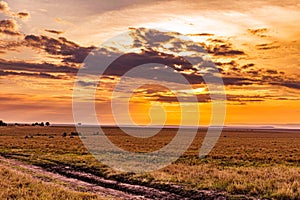 Kenya Sunset Landscape Golden Hour Sunrise Maasai Mara National Game Reserve Park Narok County Kenya East Africa