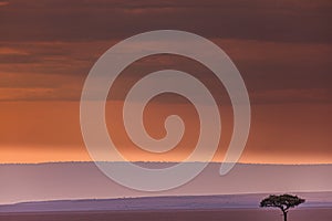 Kenya Sunset Sunrise Landscape Dramatic Clouds Golden In Maasai Mara National Game Reserve Park Narok County Kenya East AFrica