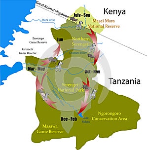 Kenya Tanzania Great animal Migration vector