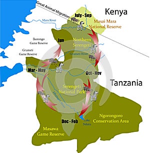 Kenya Tanzania Great animal Migration vector photo