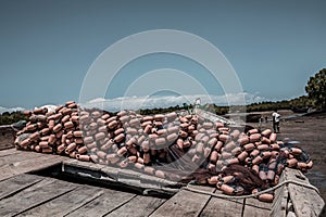 Fishing Net On The Seascape Wooden Boats In Vanga Last Town In Kenya Kwale County Streets Business Settlement In Coastal Region