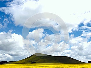 Kenyan Landscapes Canola Rapeseed Nature Fields Meadows Clouds Sky Agriculture Farm Meru Nanyuki Highway In Kenya East African