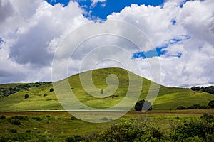 Kenyan Landscapes Canola Rapeseed Vegetable Oil Farming Timau Meru Nanyuki Highway Kenya East Africa