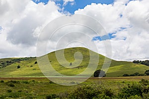 Kenyan Landscapes Canola Rapeseed Vegetable Oil Farming Timau Meru Nanyuki Highway Kenya East Africa