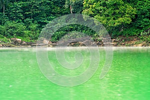 Kenyir lake water with tropical forest trees. Beautiful tranquill idylic view