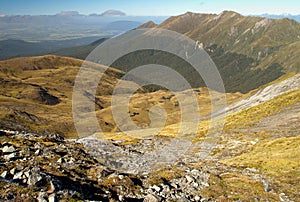 Kepler track