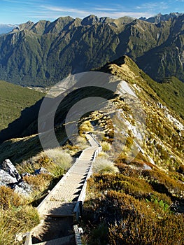 Kepler track