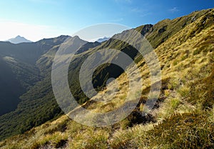 Kepler track