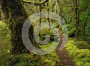 Kepler track path