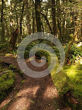 Kepler track path