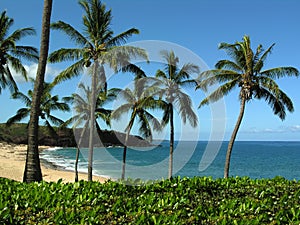 Kepuhi Beach Molokai Hawaii