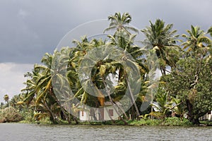 Kerala backwaters