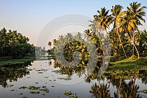 Kerala backwaters at sunset, from Kollam to Alleppey, Kerala, India photo