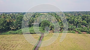 Kerala backwaters, farmland and fields at Alleppey, India. Aerial dron