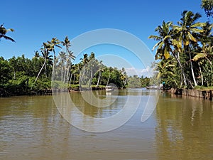 Kerala estuary