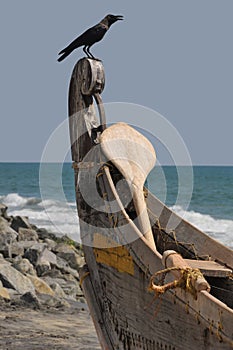 Kerala fishing boat photo