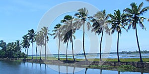 Kerala landscape view with lakes and trees,