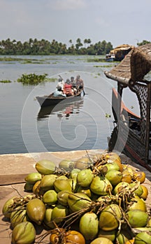 Kerala waterways and boats