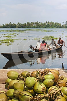 Kerala waterways and boats