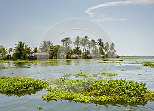 Kerala waterways and boats