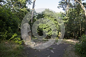 Kercado tumulus in Carnac area