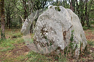 Kerjean alignments - megalithic monument in Brittany