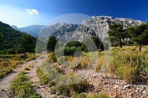 Kerkes mountain. Samos island. Greece