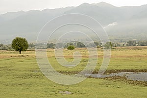 Kerkini Lake Area, Greece