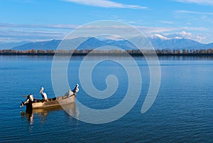 Kerkini lake in Greece photo