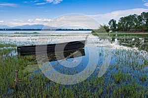 Kerkini lake in Greece photo