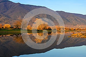 Kerkini Lake in Greece photo