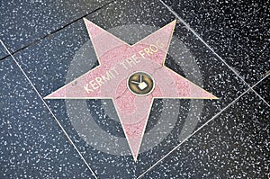 Kermit the Frog Star