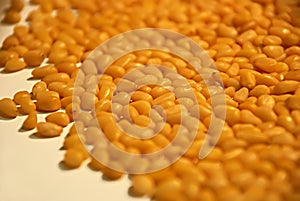 Kernel cedar nuts in bulk close up on a light background