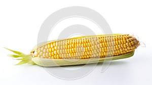 kernel corn white background